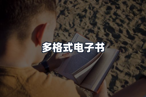 多格式电子书